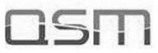 QSM logo