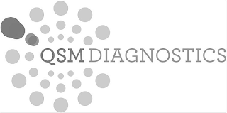 QSM DIAGNOSTICS logo