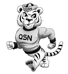 QSN QSN logo