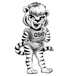 QSN QSN logo