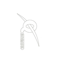 QTANEOUS logo