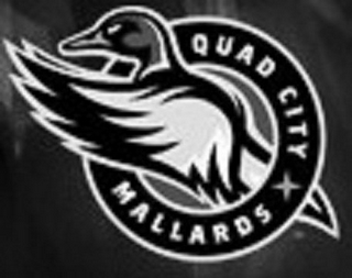 QUAD CITY MALLARDS logo