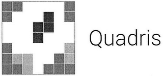 QUADRIS logo