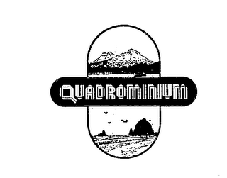 QUADROMINIUM logo
