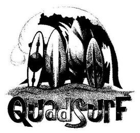 QUADSURF logo