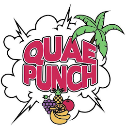 QUAE PUNCH logo