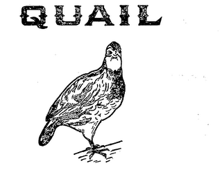 QUAIL logo