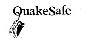 QUAKE SAFE logo