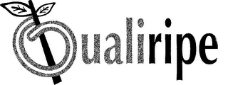 QUALIRIPE logo