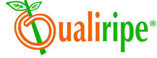 QUALIRIPE logo