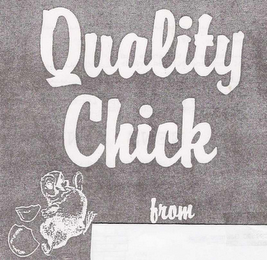 QUALITY CHICK FROM logo