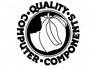 QUALITY-COMPUTER-COMPONENTS logo