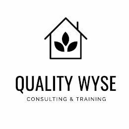 QUALITY WYSE CONSULTING & TRAINING logo