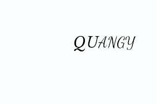 QUANGY logo