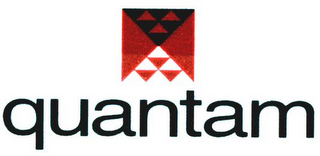 QUANTAM logo