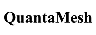 QUANTAMESH logo