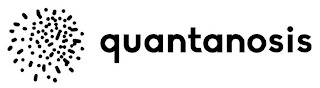 QUANTANOSIS logo
