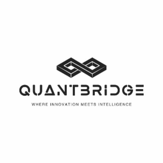 QUANTBRIDGE WHERE INNOVATION MEETS INTELLIGENCE logo
