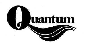 QUANTUM logo
