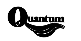 QUANTUM logo