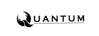 QUANTUM logo