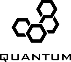 QUANTUM logo