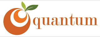 QUANTUM logo