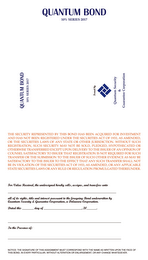 QUANTUM BOND 10% SERIES 2017 logo