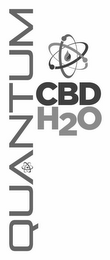 QUANTUM CBD H2O logo
