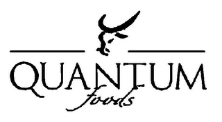 QUANTUM FOODS logo