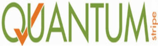 QUANTUM STRIPE logo