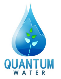 QUANTUM WATER logo