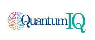 QUANTUMIQ logo