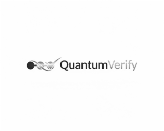 QUANTUMVERIFY logo