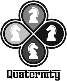 QUATERNITY logo