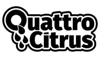 QUATTRO CITRUS logo