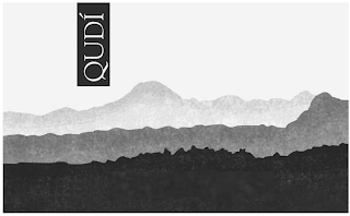 QUDI logo