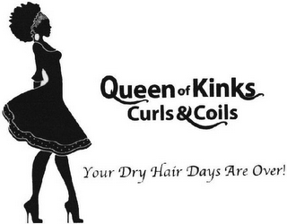 QUEEN OF KINKS CURLS & COILS YOUR DRY HAIR DAYS ARE OVER! logo