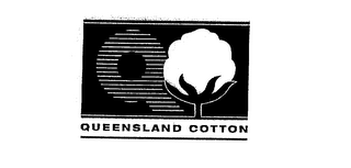 QUEENSLAND COTTON logo