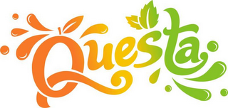 QUESTA logo