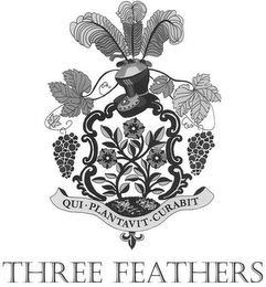 QUI · PLANTAVIT · CURABIT THREE FEATHERS logo