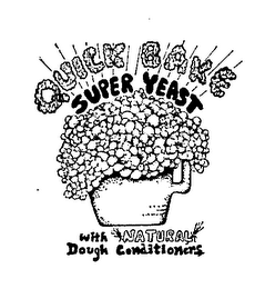 QUICK BAKE SUPER YEAST WITH NATURAL DOUGH CONDITIONERS logo