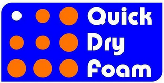QUICK DRY FOAM logo