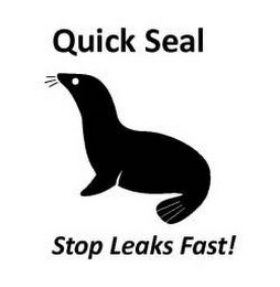 QUICK SEAL STOP LEAKS FAST! logo
