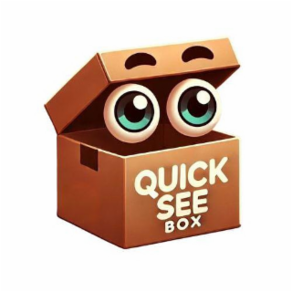 QUICK SEE BOX logo