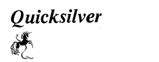 QUICKSILVER logo