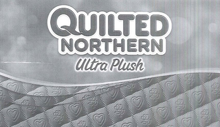 QUILTED NORTHERN ULTRA PLUSH 3 PLY WITH INNERLUX LAYER CLEAN YOU EXPECT, GENTLENESS YOU WANT logo
