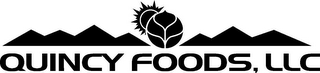 QUINCY FOODS, LLC logo
