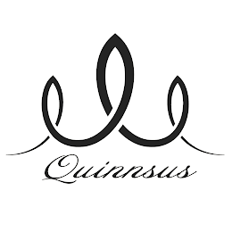 QUINNSUS logo