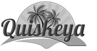 QUISKEYA logo